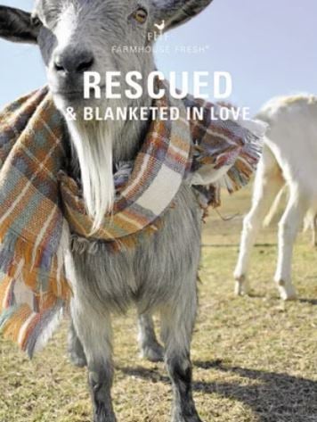 goat blanket